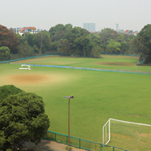 Khung cảnh toàn cảnh của sân bóng được bao quanh bởi cây xanh ở Hà Nội